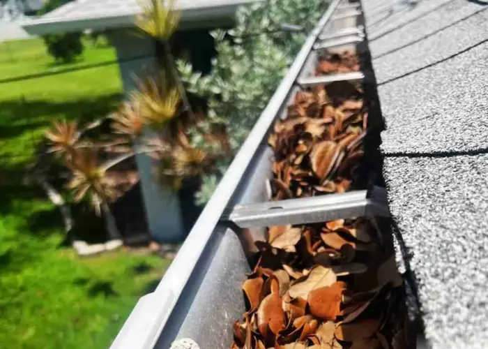 Ocean View gutter cleaning home page